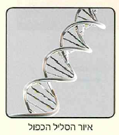 (בספר איור)